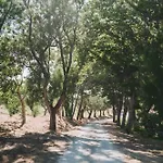 Casa De Calhariz * Σεσίμπρα