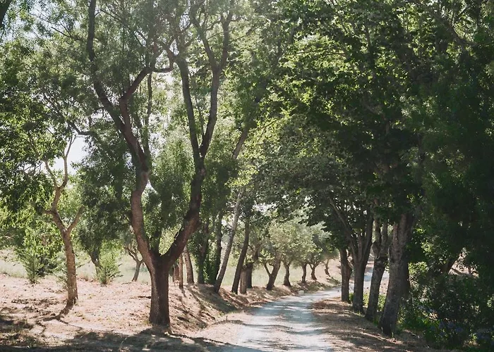 Casa De Calhariz * 세심브라