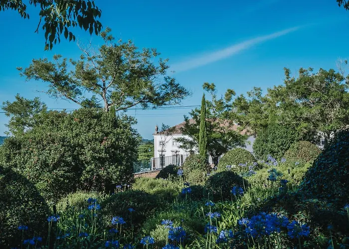 빌라 Casa De Calhariz 세심브라