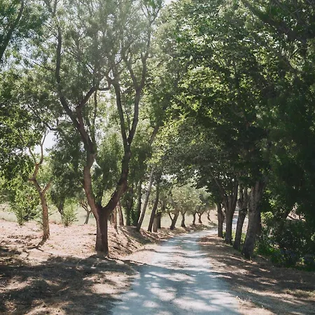 Casa De Calhariz * Sesimbra