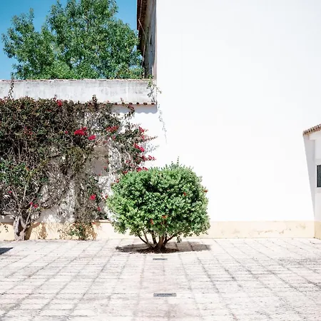 Casa De Calhariz Villa *